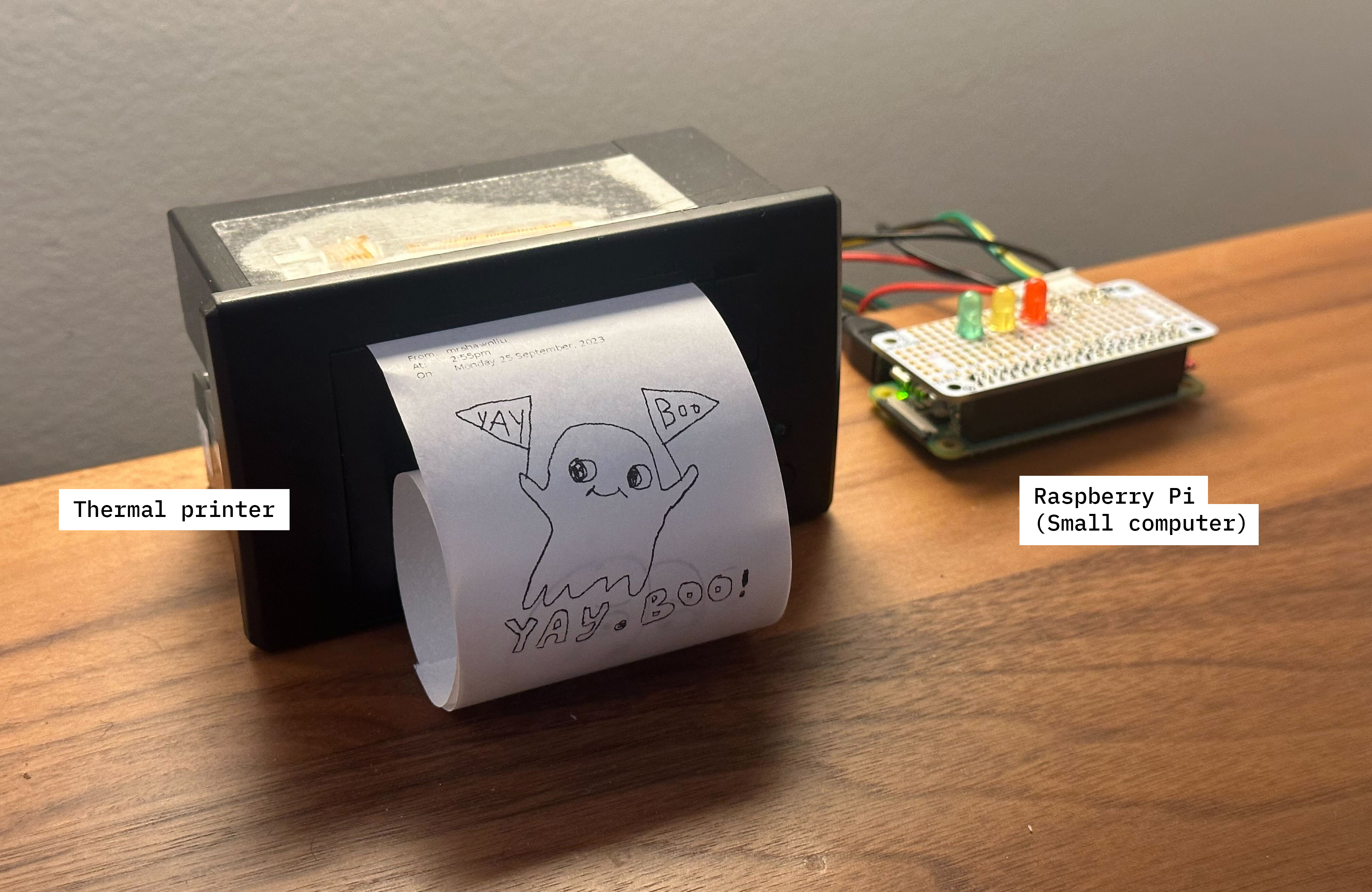 What the little printer looks like
